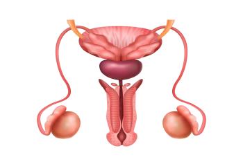 Urology